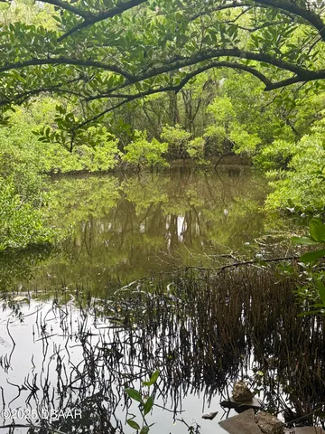 $2,225 | 713 Laurel Bay Circle, New Smyrna Beach, FL 32169