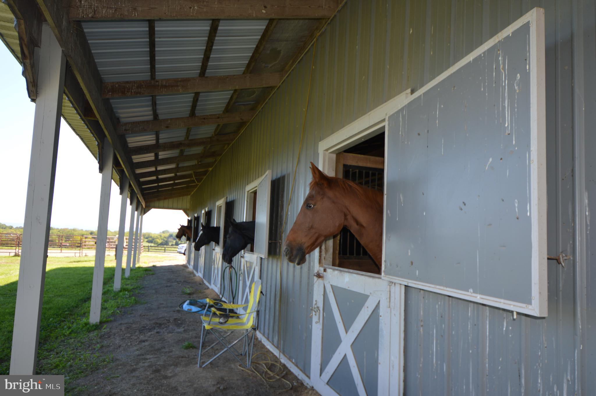 749 Salem Church Road Boyce, VA 22620 - Photo 23 of 53 25 horse stalls