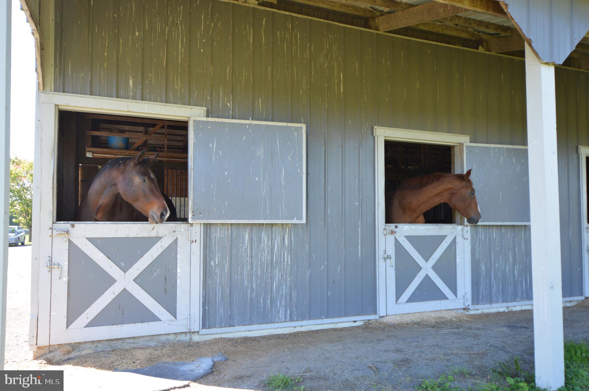 749 Salem Church Road Boyce, VA 22620 - Photo 31 of 53 Horses!