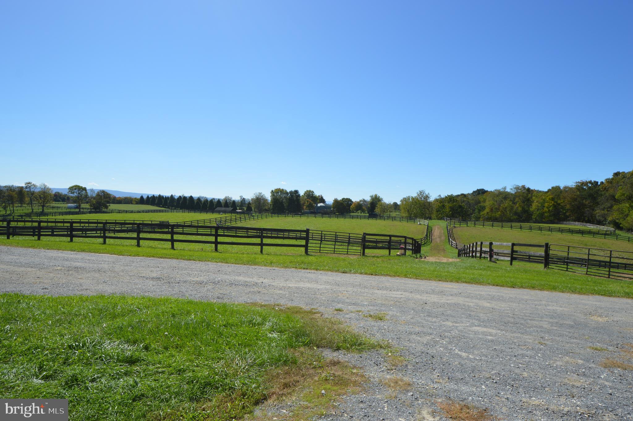 749 Salem Church Road Boyce, VA 22620 - Photo 33 of 53 beautiful views everywhere!