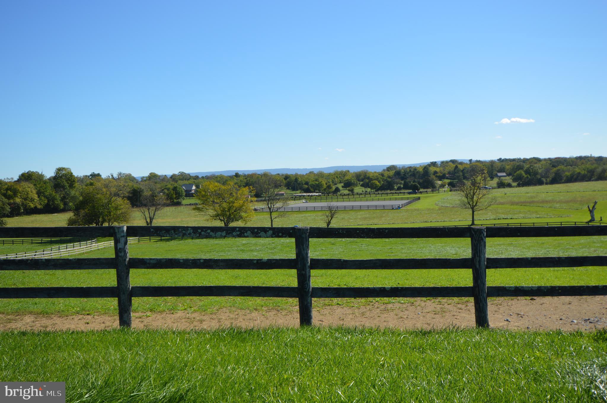 749 Salem Church Road Boyce, VA 22620 - Photo 34 of 53 beautiful view
