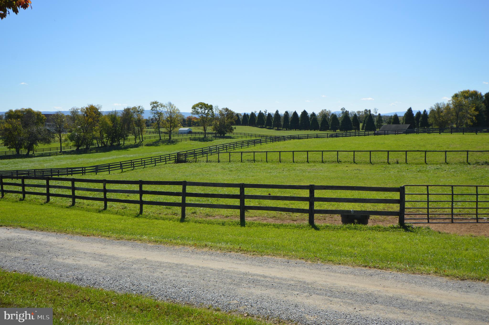 749 Salem Church Road Boyce, VA 22620 - Photo 35 of 53 15 paddocks