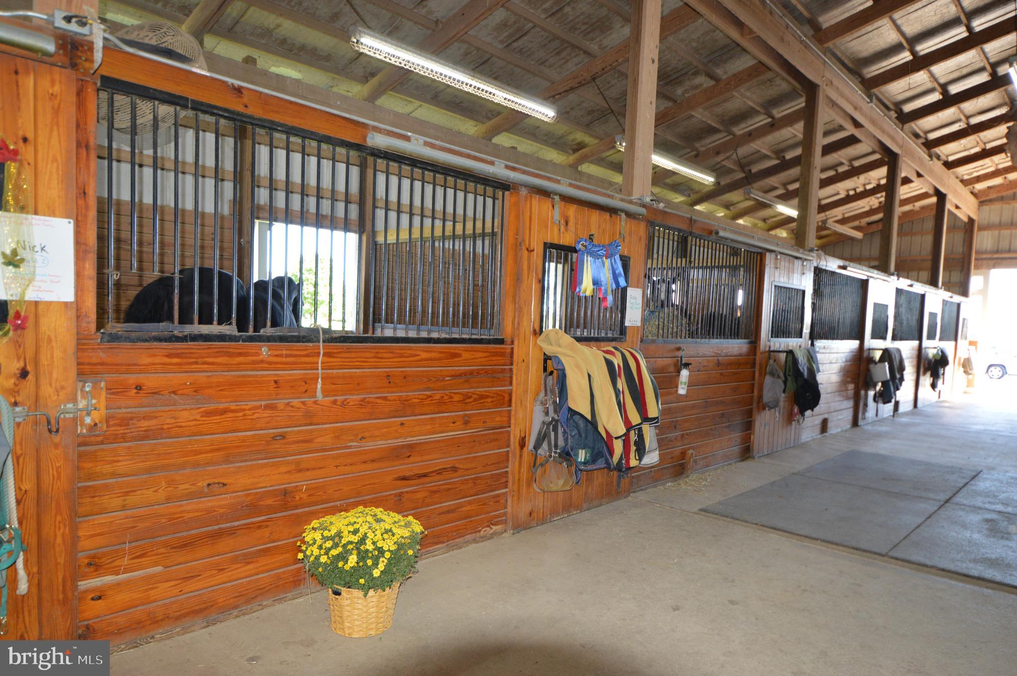 749 Salem Church Road Boyce, VA 22620 - Photo 37 of 53 25 horse stalls