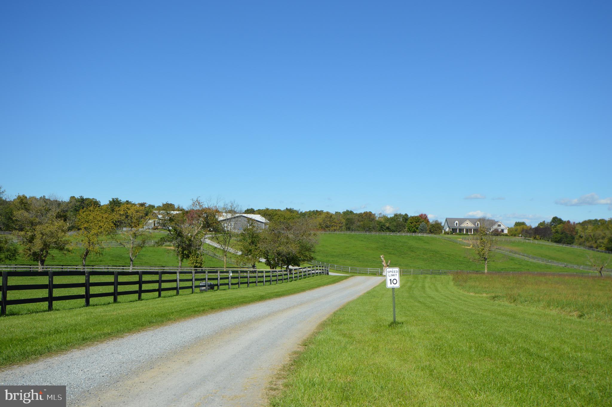 749 Salem Church Road Boyce, VA 22620 - Photo 42 of 53 Private driveway to the property