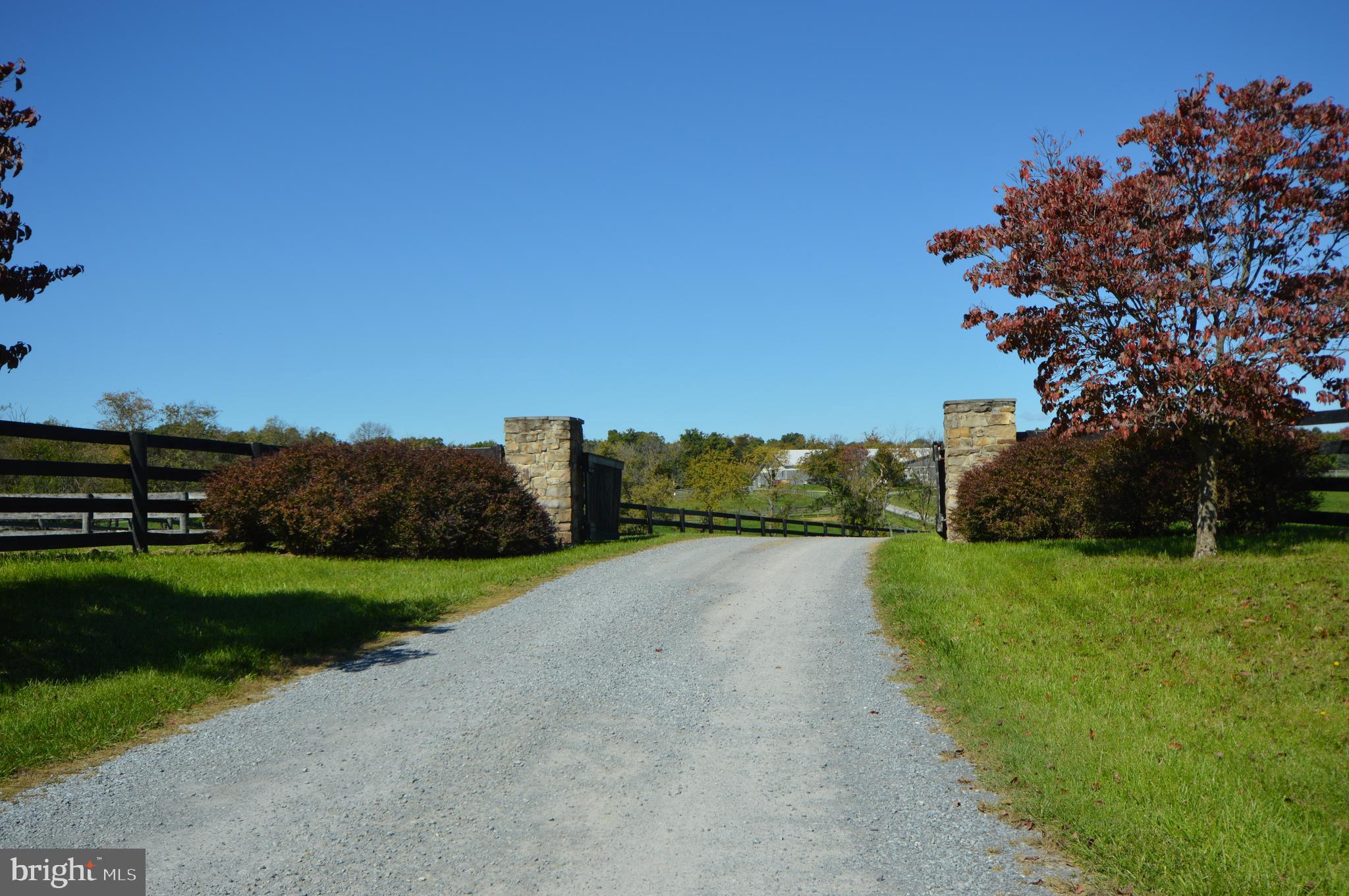 749 Salem Church Road Boyce, VA 22620 - Photo 43 of 53 Private gated driveway
