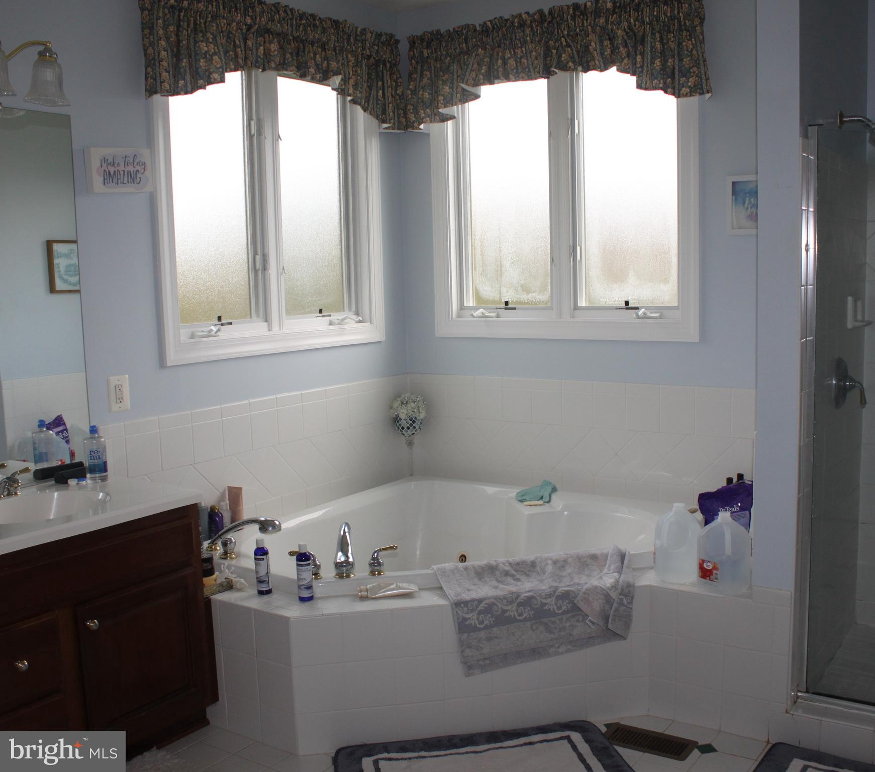749 Salem Church Road Boyce, VA 22620 - Photo 50 of 53 Soaking tub in primary bathroom