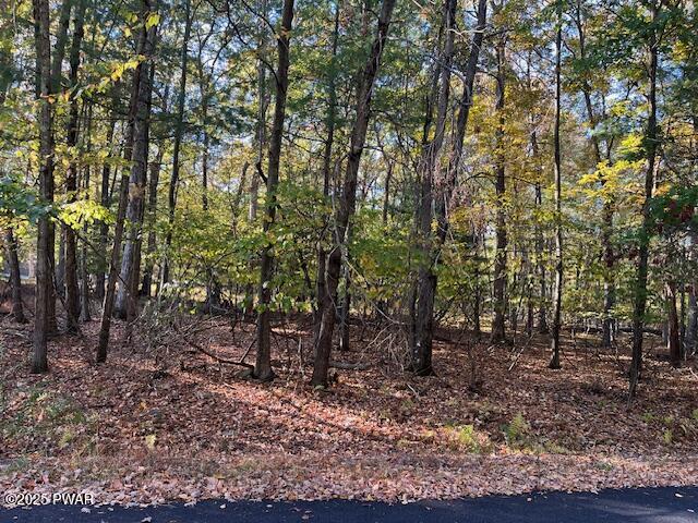 Lot 332 Racoon Road Dingmans Ferry, PA 18328 - Photo 4 of 9