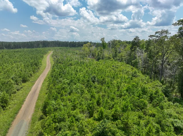 $87,000 | 1 Coussons Drive, Hemphill, TX 75948