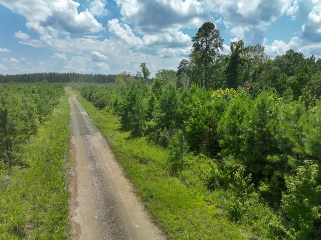 $87,000 | 1 Coussons Drive, Hemphill, TX 75948