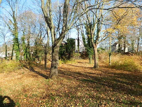 45 Archer Road Rockland, MA 02370 - Photo 10 of 25 Gallery Image 10