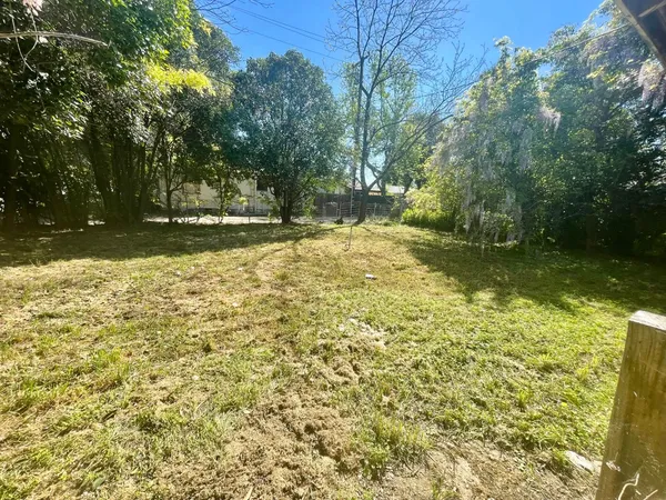 a view of yard with tree