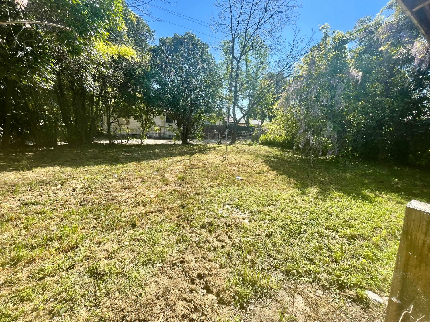 390 Nevada Street Gridley, CA 95948 - Photo 6 of 25 a view of yard with tree