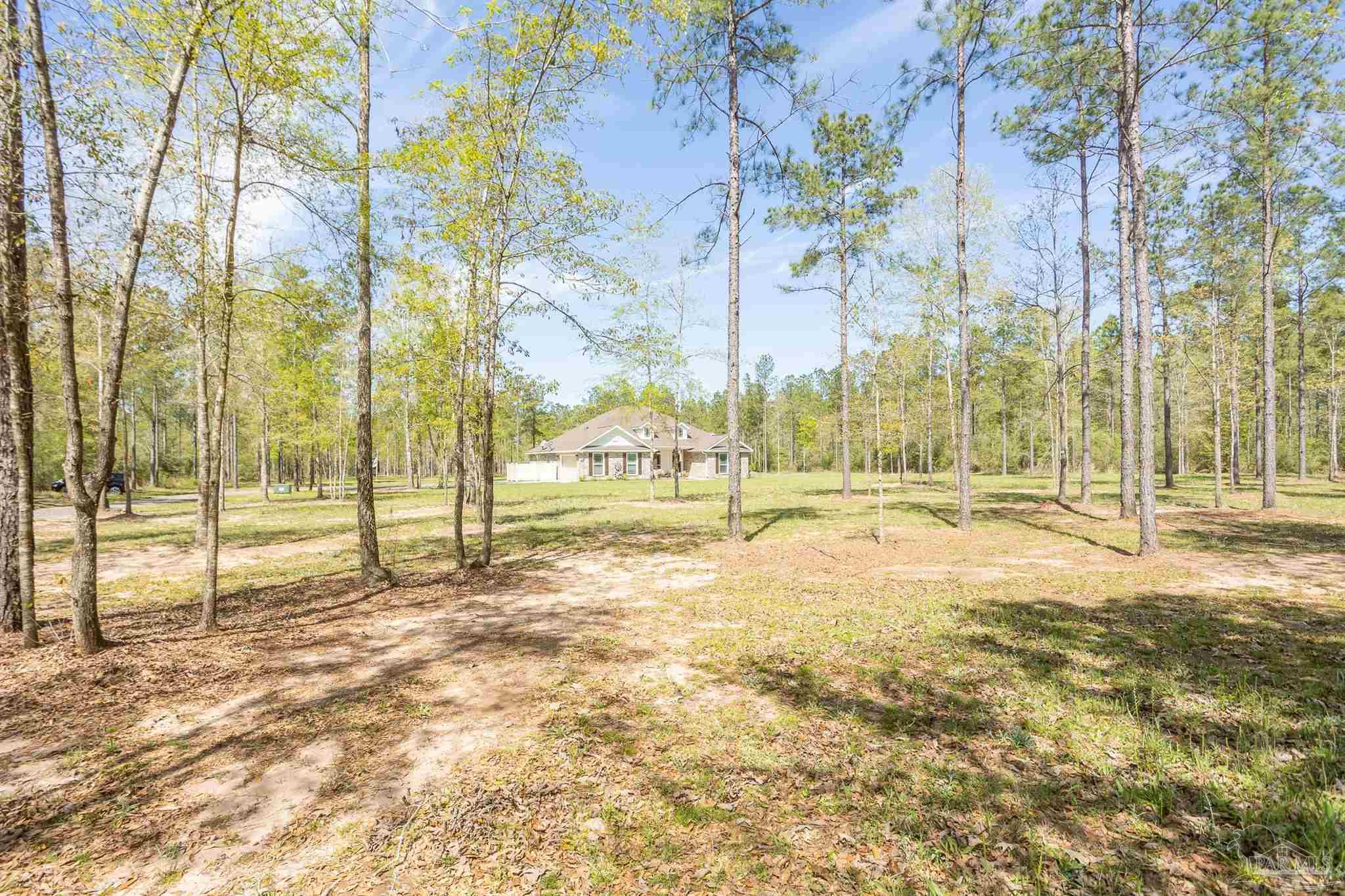 2383 Bud Diamond Road Jay, FL 32565 - Photo 39 of 50 a view of tall trees with a yard
