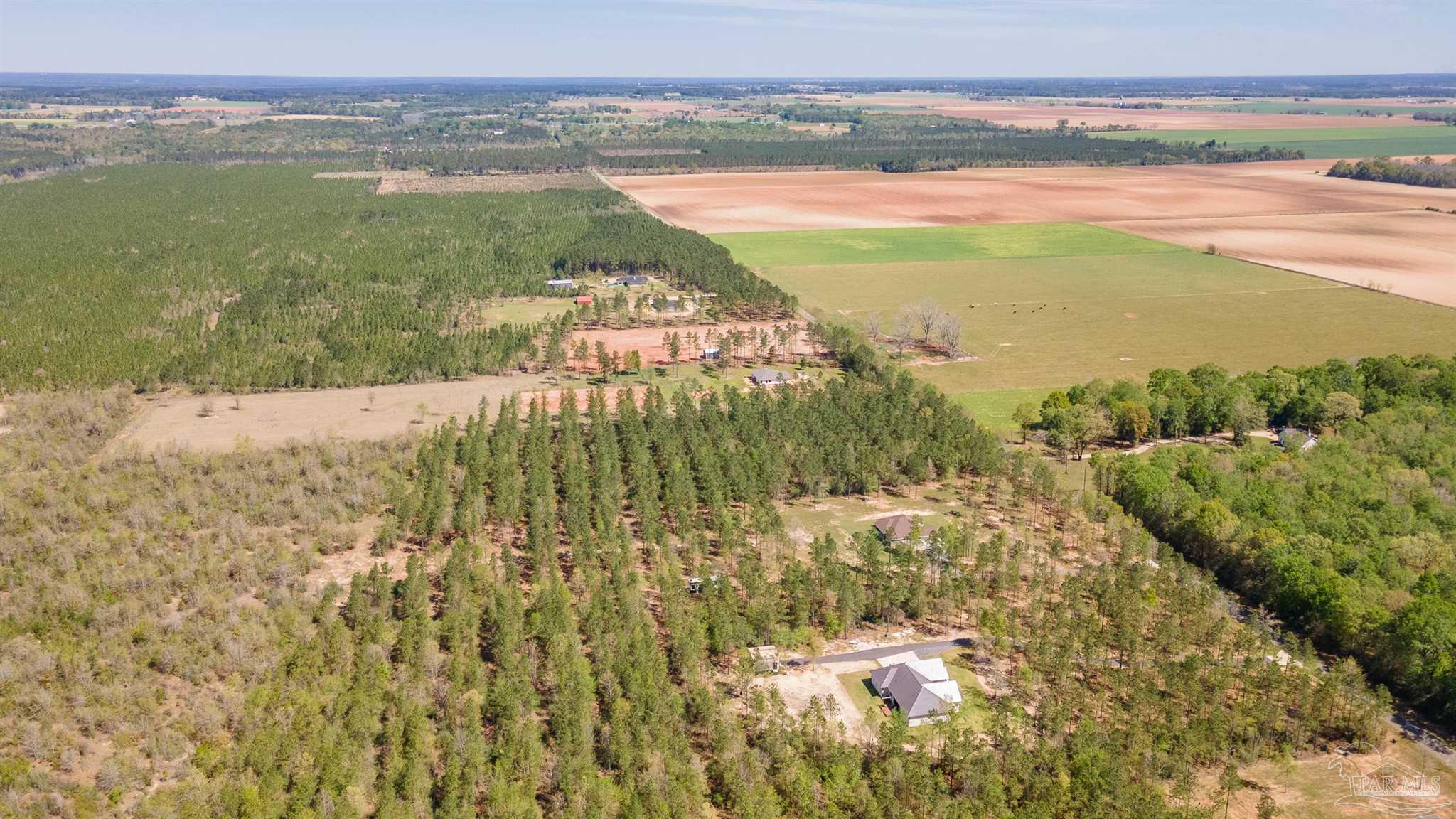 2383 Bud Diamond Road Jay, FL 32565 - Photo 44 of 50 a view of lake view and mountain