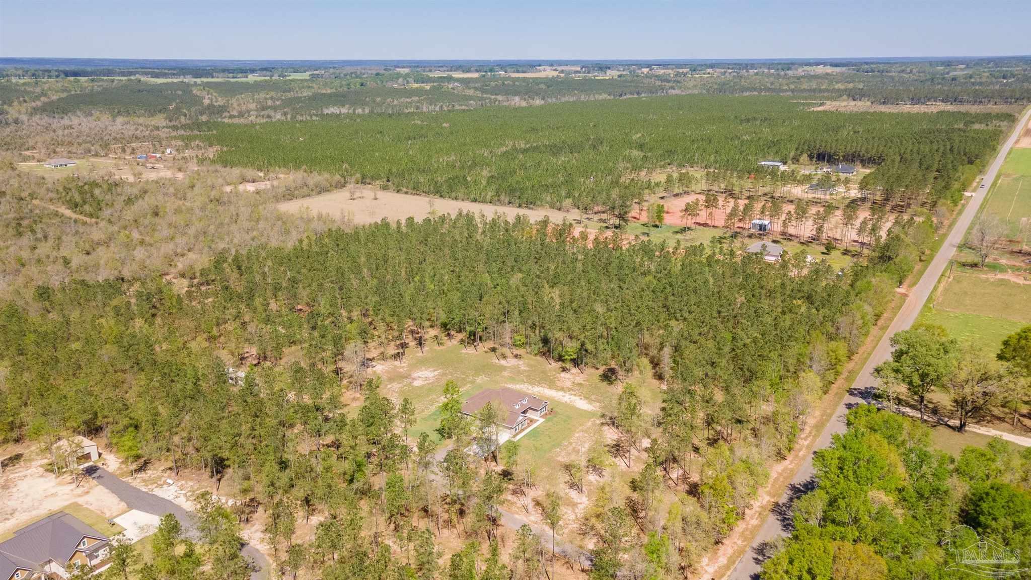 2383 Bud Diamond Road Jay, FL 32565 - Photo 47 of 50 a view of lake with mountain