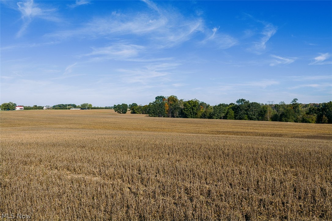15 Glecoe Road Southwest Carrollton, OH 44615 - Photo 19 of 50 View of local wilderness with rural landscape