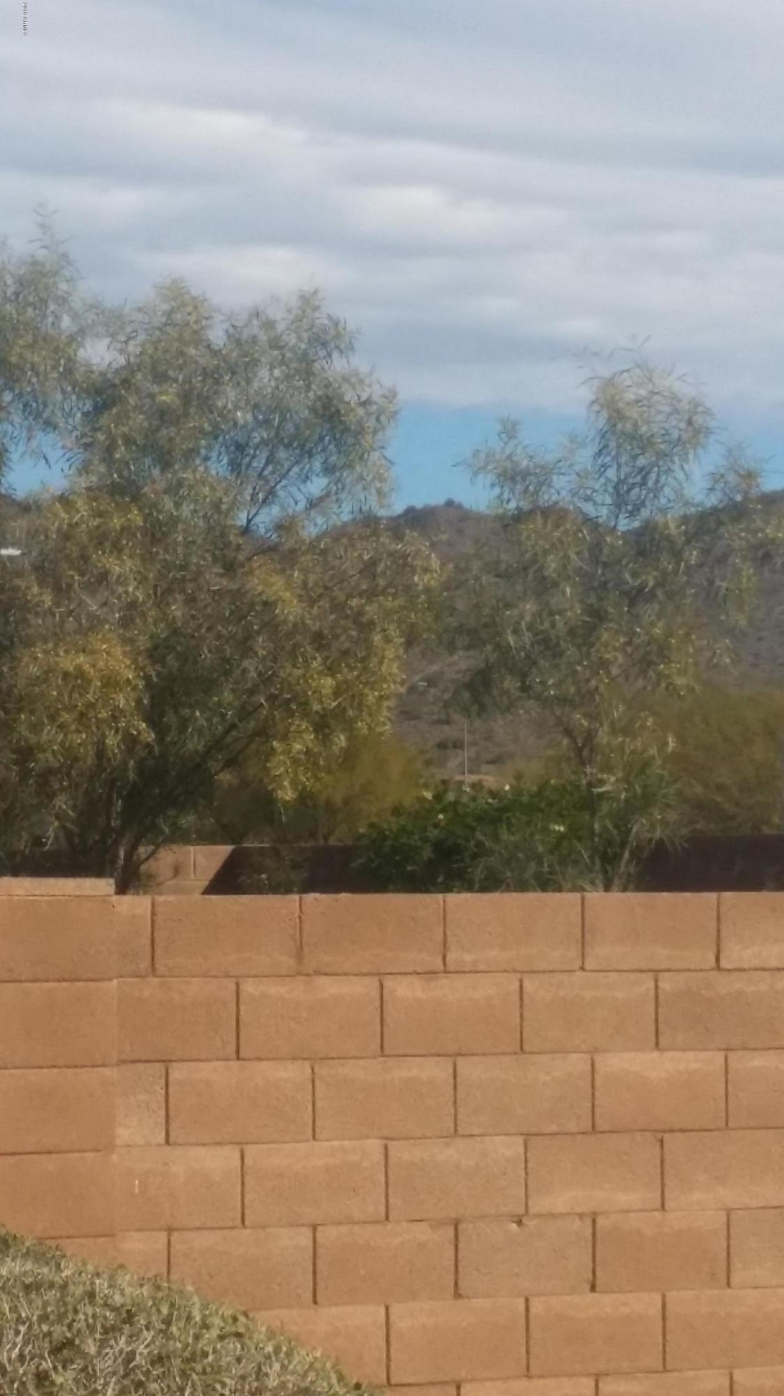 28025 North Via Dona Road Phoenix, AZ 85085 - Photo 50 of 54 20160131_122106