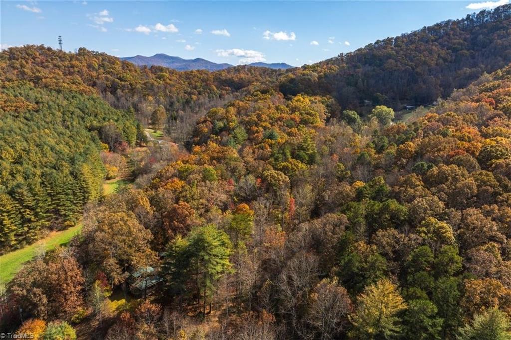 87 Prater Cove Road Franklin, NC 28734 - Photo 34 of 35