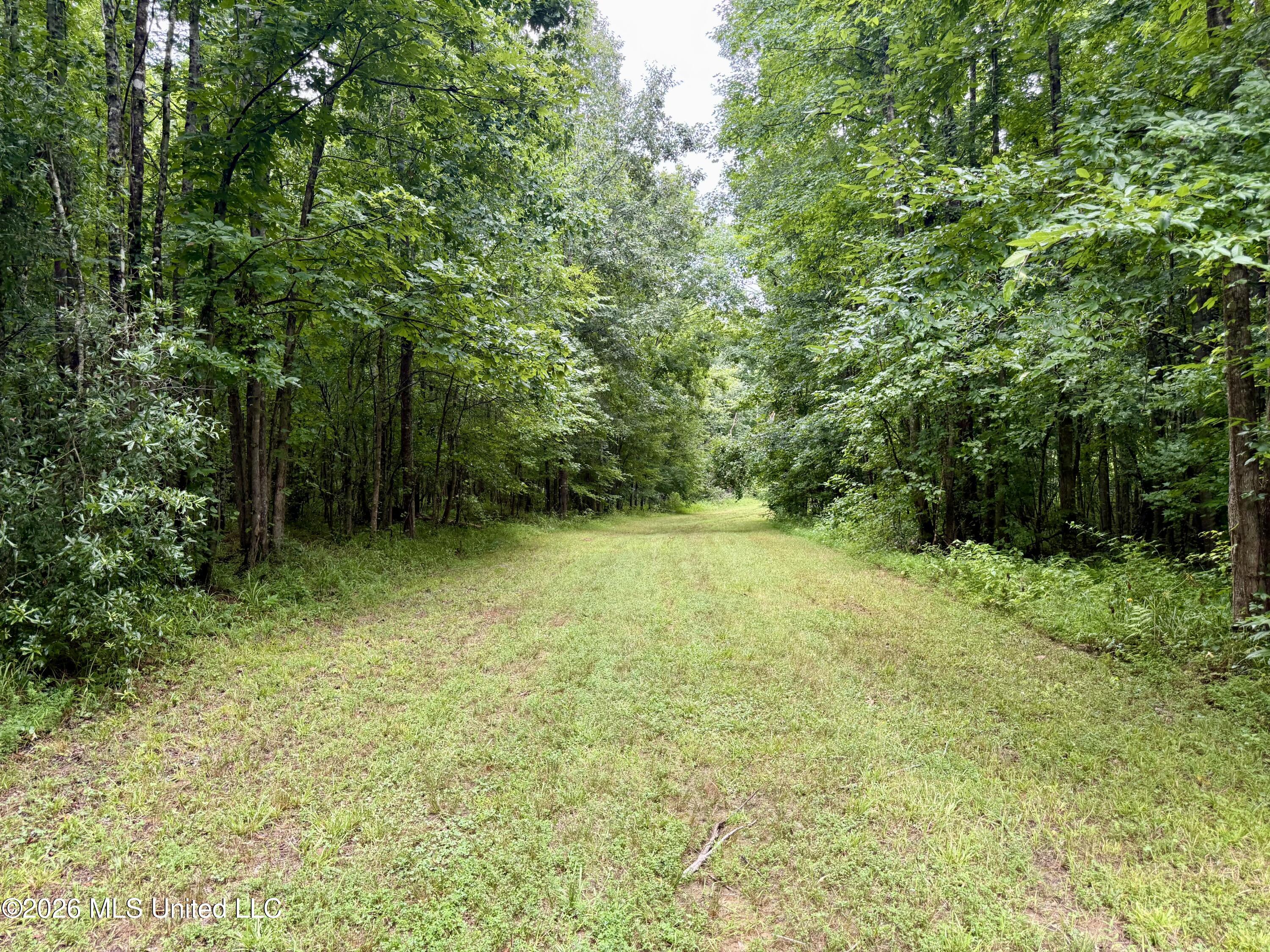 568 Smith-Bailey Road Durant, MS 39063 - Photo 37 of 81 Photo Jul 02 2026, 2 38 02 PM