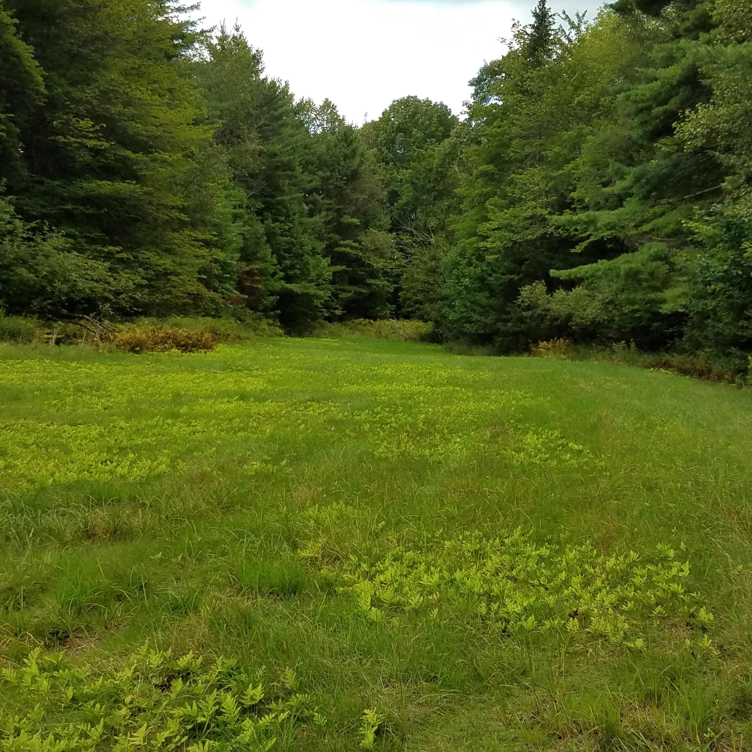 986 Waterville Road Unity, ME 04988 - Photo 17 of 41 20190830_175734
