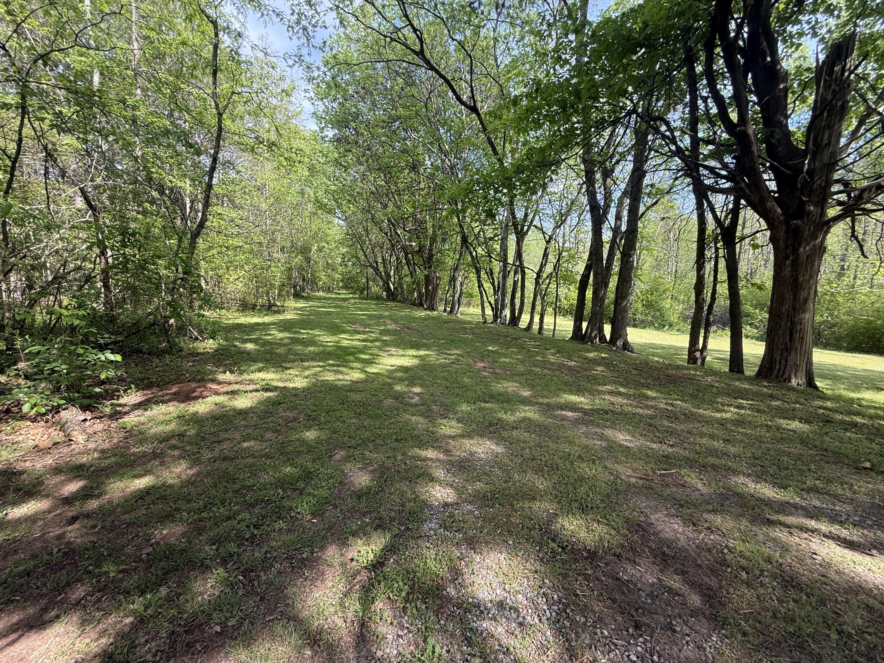 1007 County Road, Unit 46 Hollywood, AL 35752 - Photo 63 of 80 IMG_2448