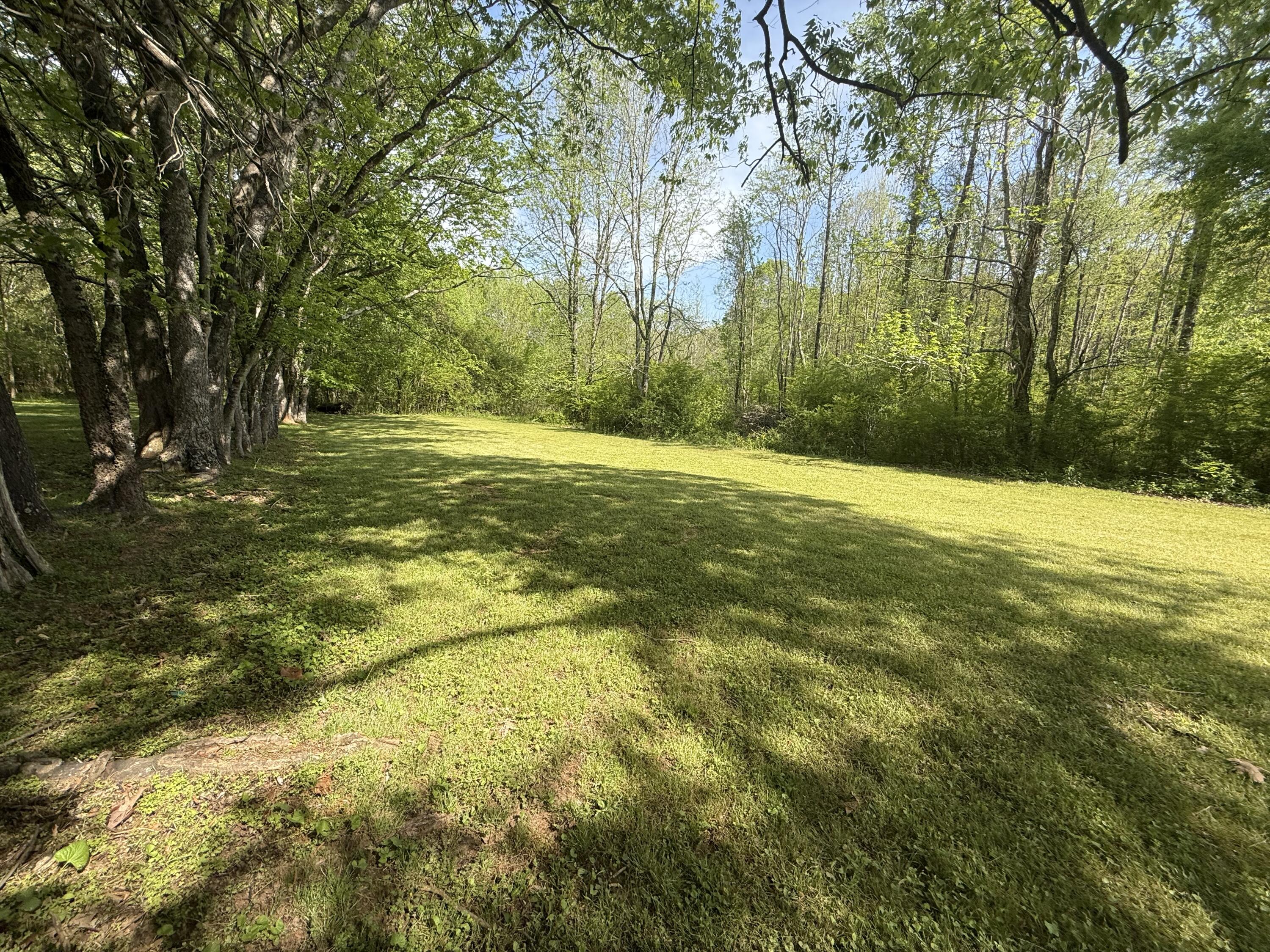 1007 County Road, Unit 46 Hollywood, AL 35752 - Photo 65 of 80 IMG_2450