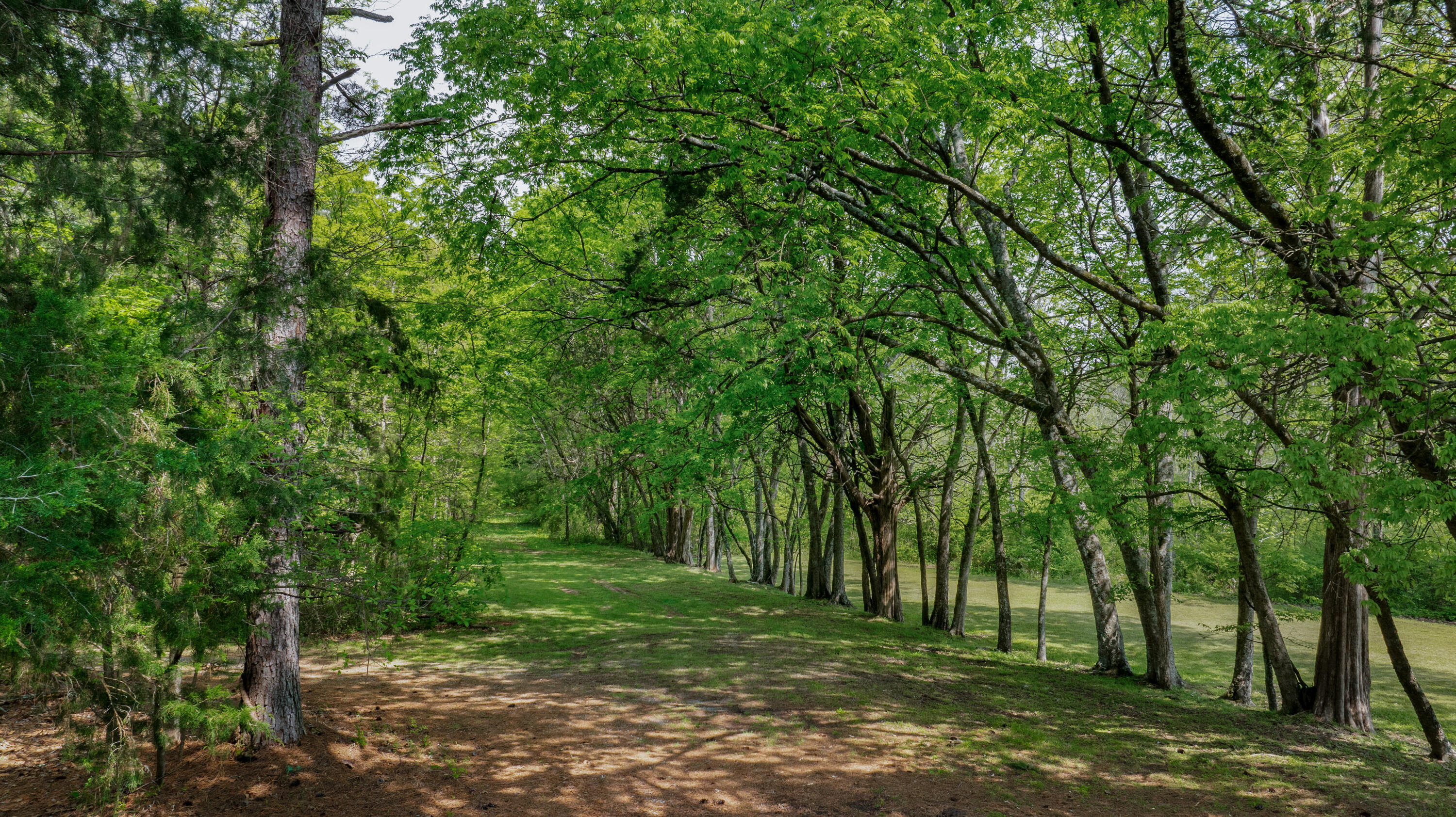 1007 County Road, Unit 46 Hollywood, AL 35752 - Photo 70 of 80 Celeste Dobbins 1007 County Road 46-20