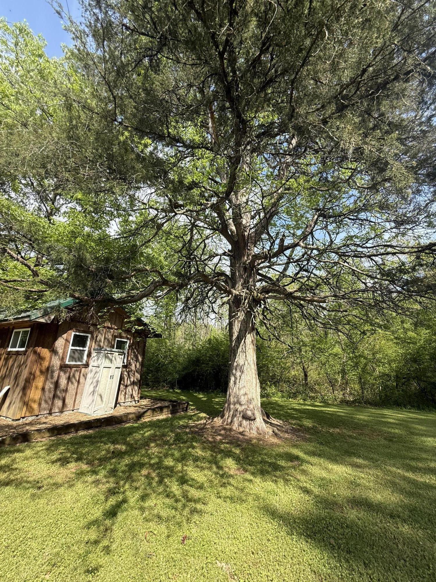 1007 County Road, Unit 46 Hollywood, AL 35752 - Photo 74 of 80 IMG_2460