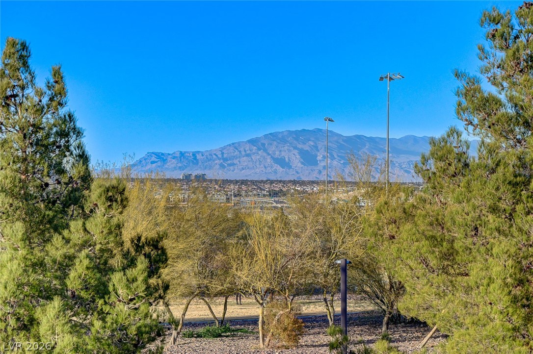 9050 West Warm Springs Road, Unit 2094 Las Vegas, NV 89148 - Photo 31 of 40