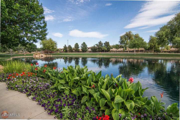 4114 East Reins Road Gilbert, AZ 85297 - Photo 63 of 78 Lake (3)