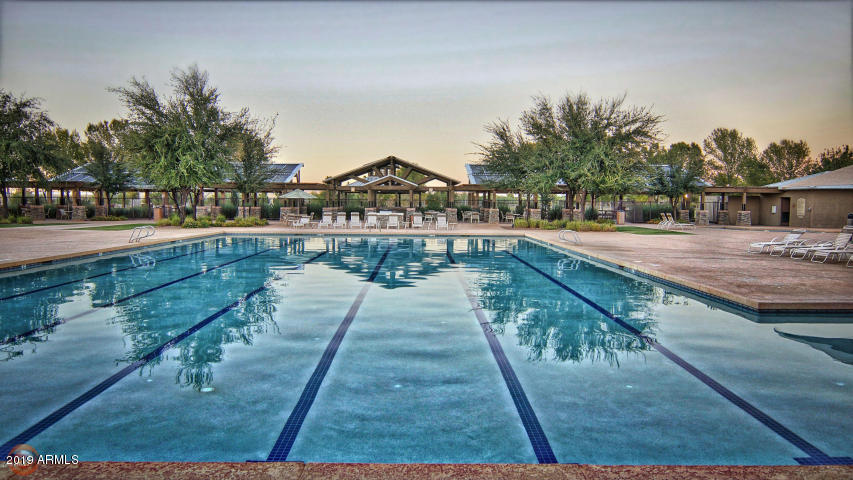 4114 East Reins Road Gilbert, AZ 85297 - Photo 74 of 78 Power Ranch Pool (3)