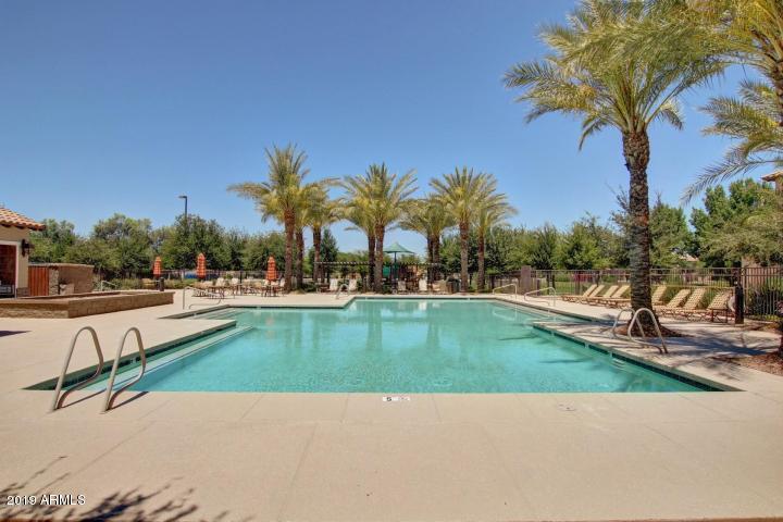 4114 East Reins Road Gilbert, AZ 85297 - Photo 75 of 78 Power Ranch Pool