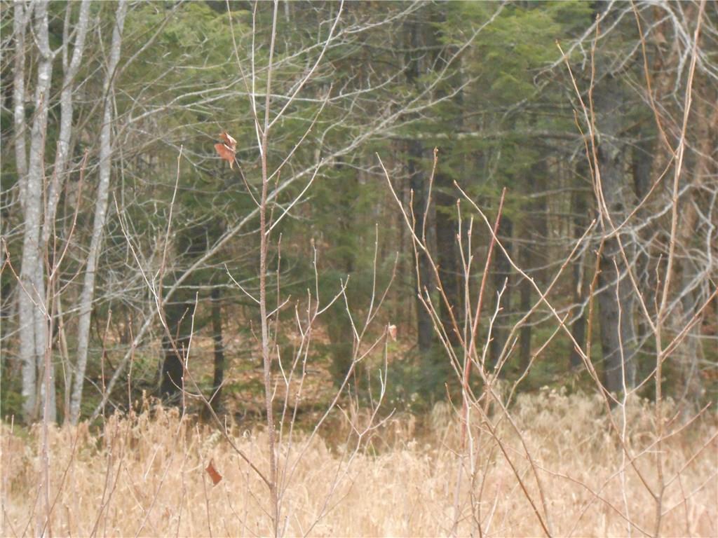 657 Old Rte One Waldoboro, ME 04572 - Photo 1 of 2 Photo