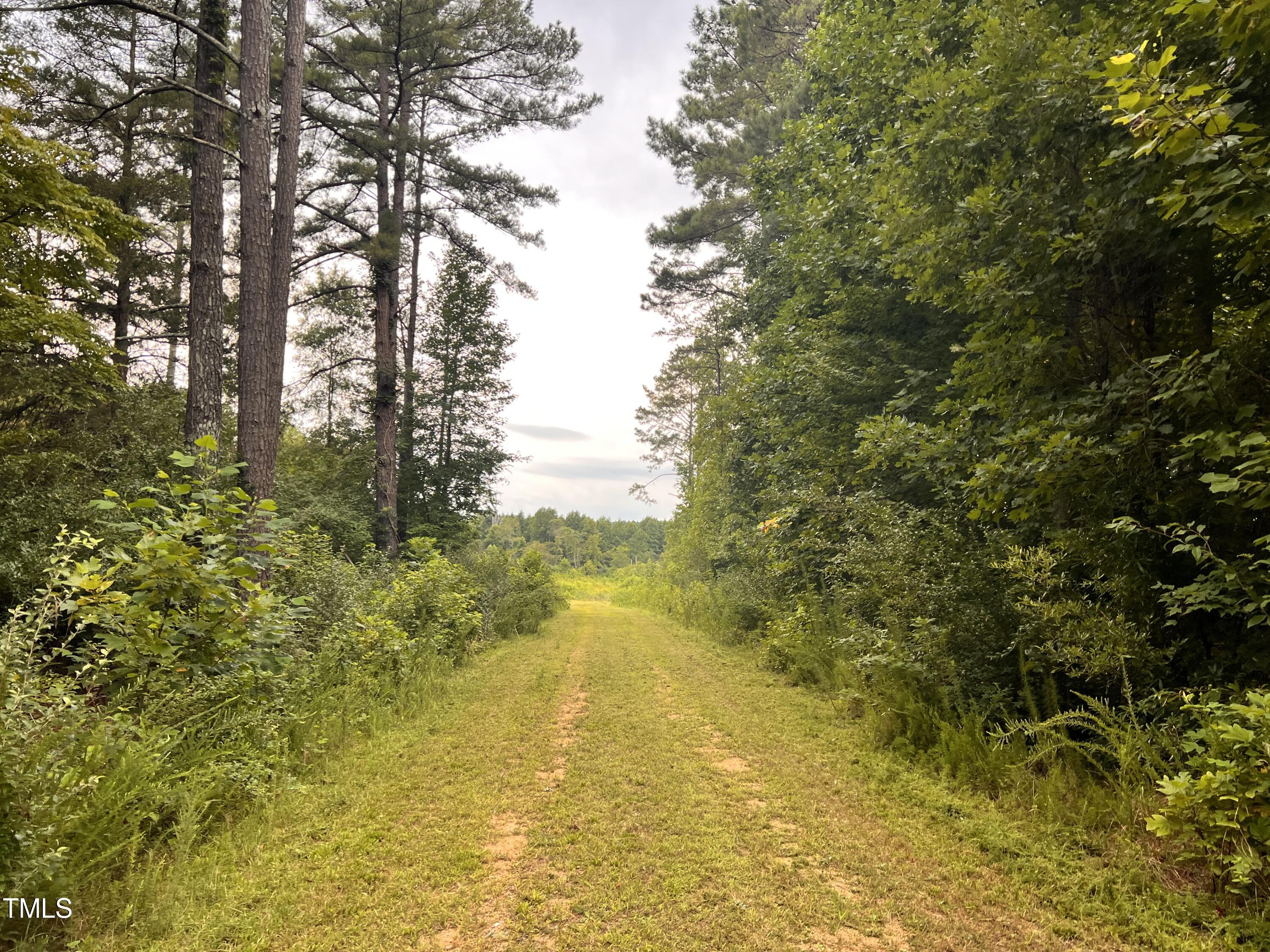 288 Crestview Road Siler City, NC 27344 - Photo 11 of 15 IMG-0538
