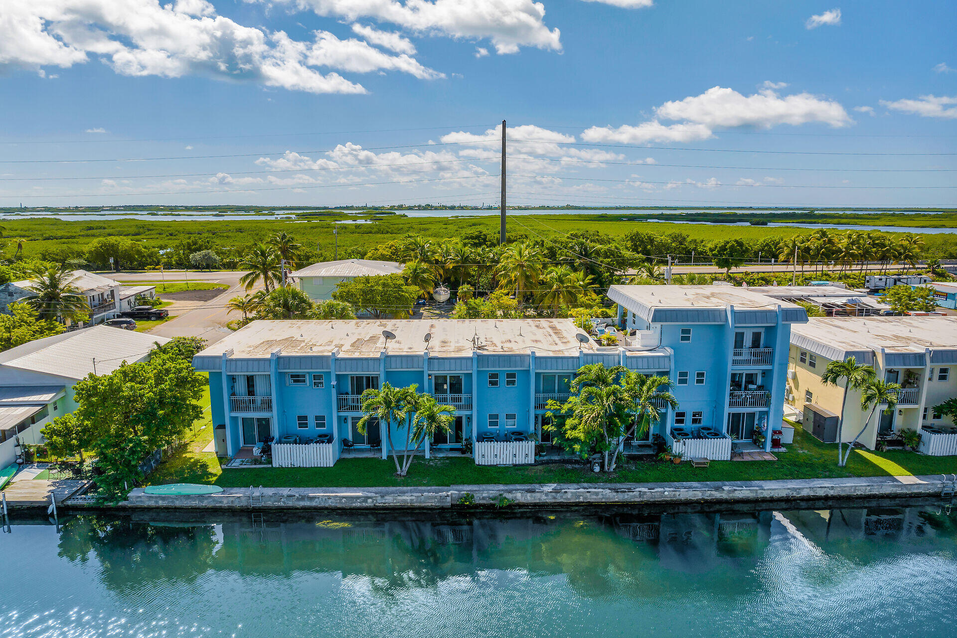 a view of a house with a yard potted plants and large tree