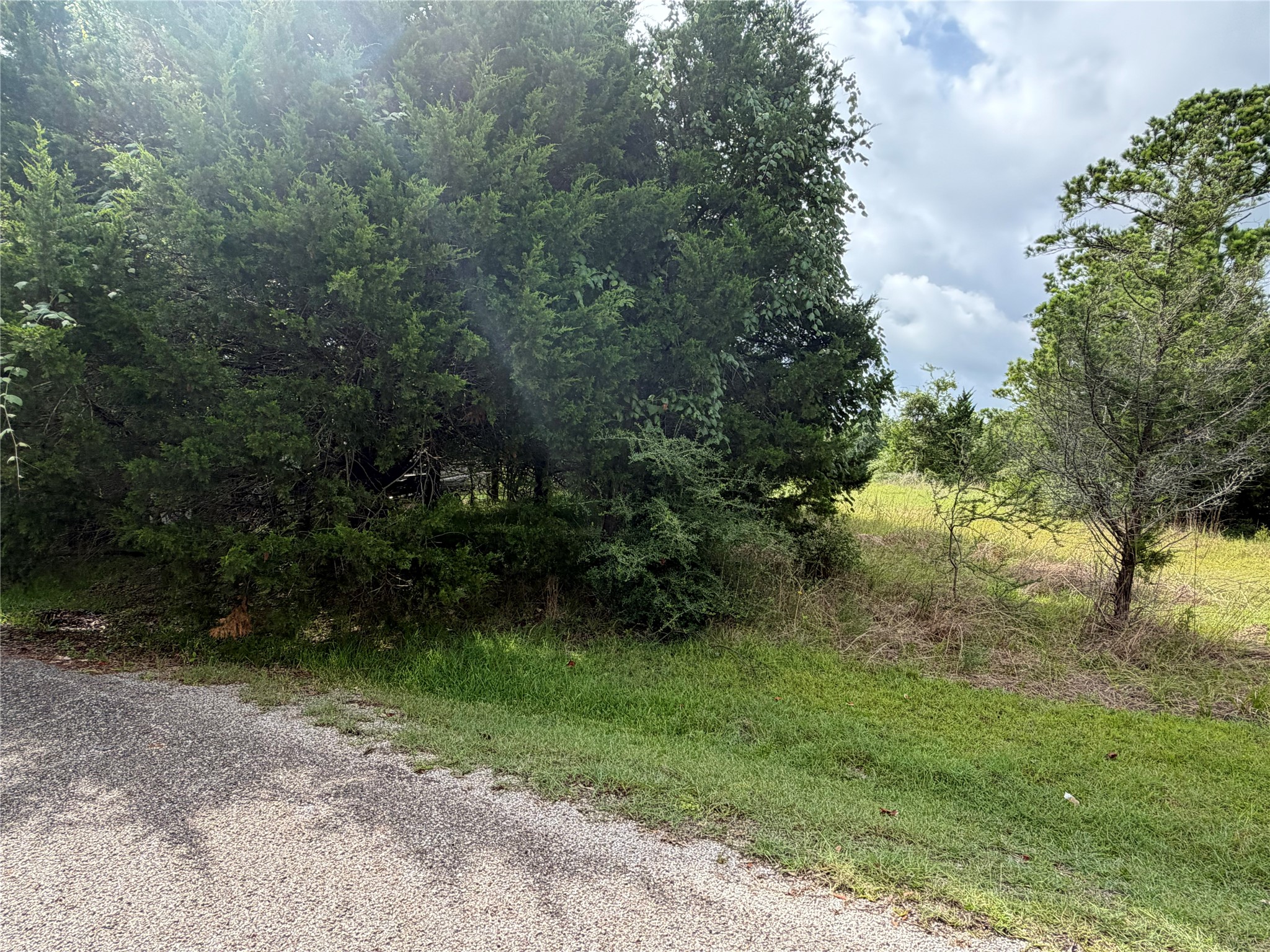 0 Timber Cove Coldspring, TX 77331 - Photo 2 of 13 8,507 Sq Ft Lot