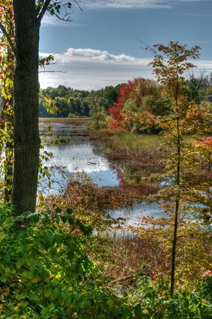 $33,930 | 6967 Railway Court, Richland, MI 49083