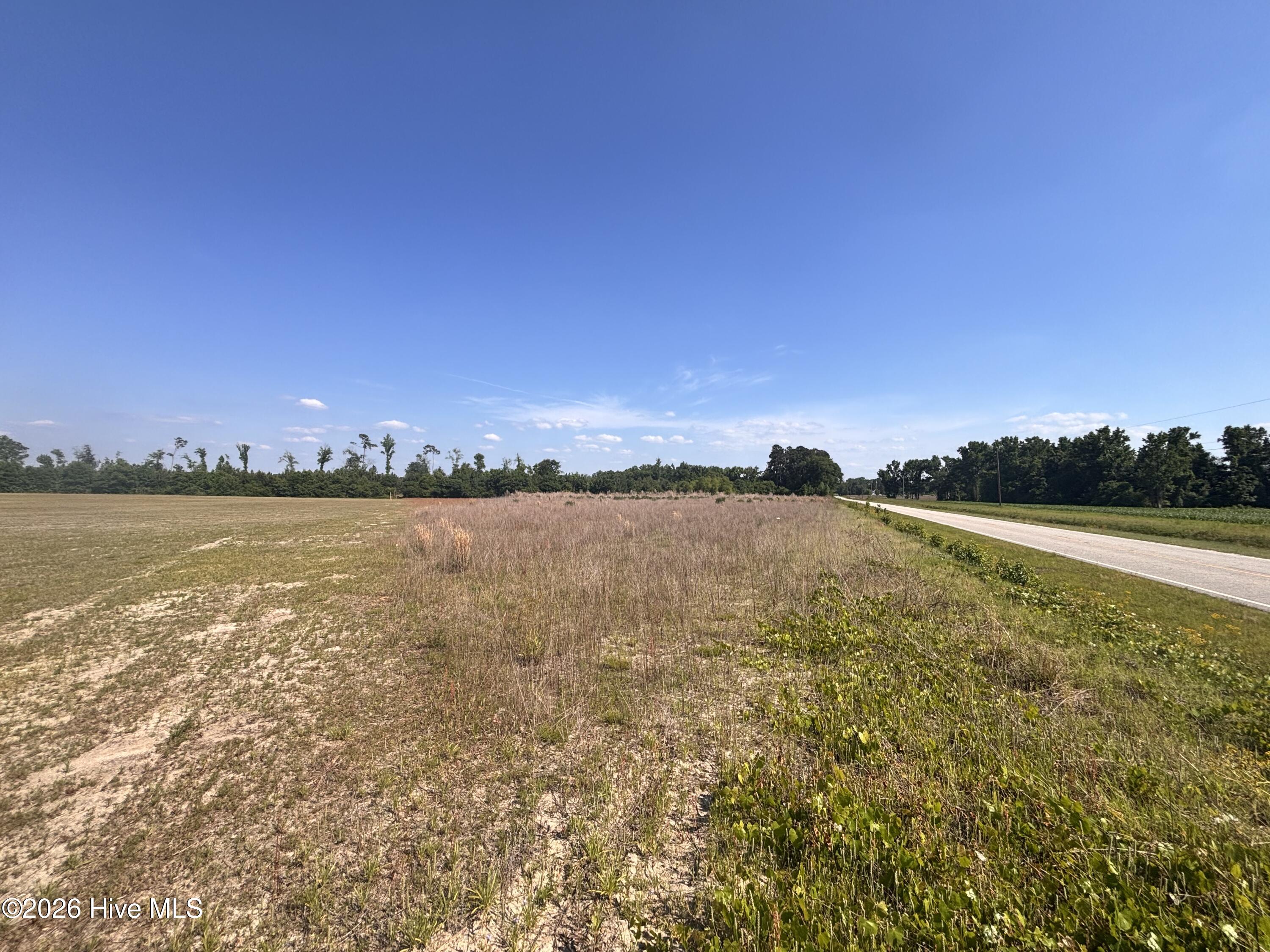 Lot 2 Bass Lake Road Clinton, NC 28328 - Photo 3 of 13