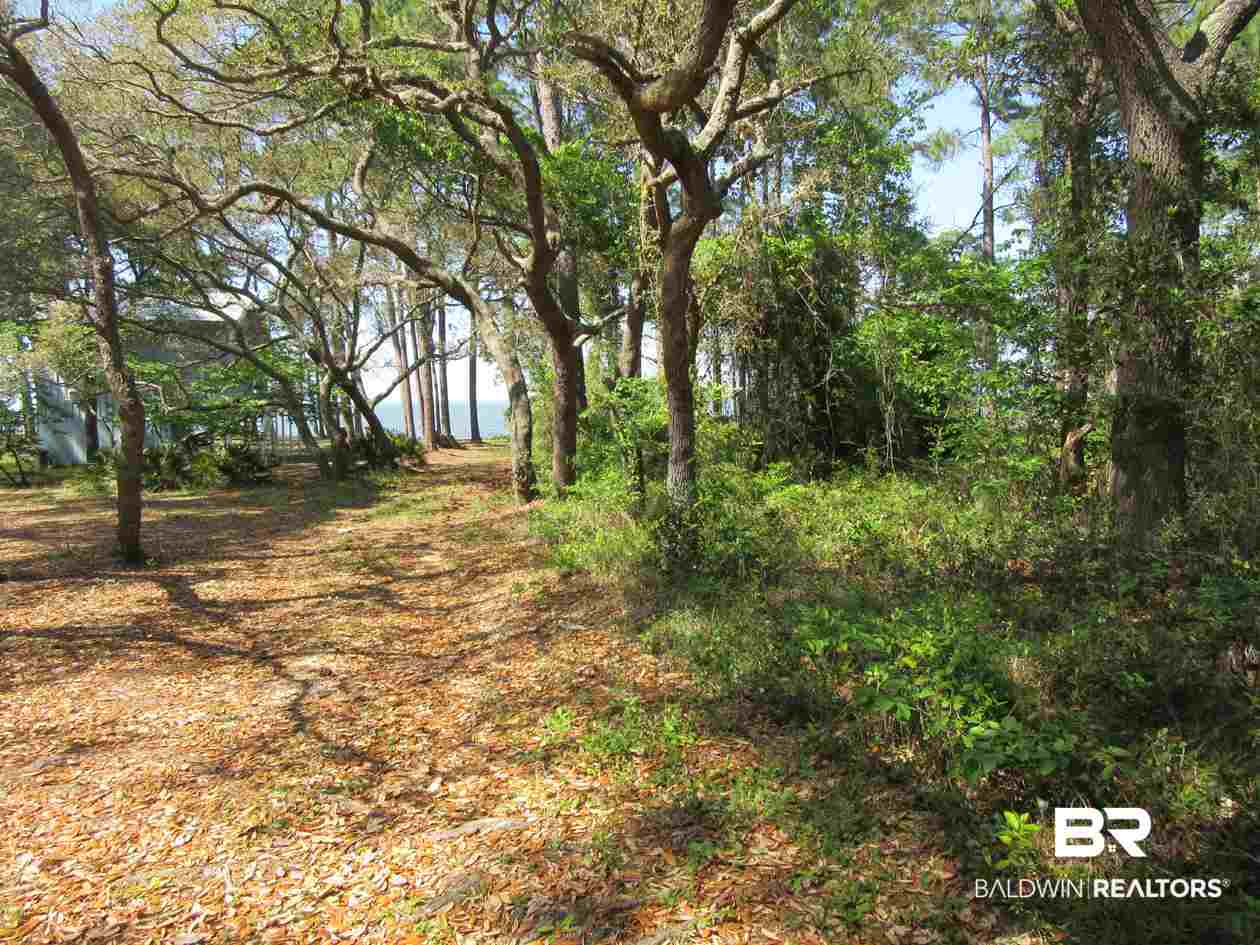Strong Road Gulf Shores, AL 36542 - Photo 9 of 21