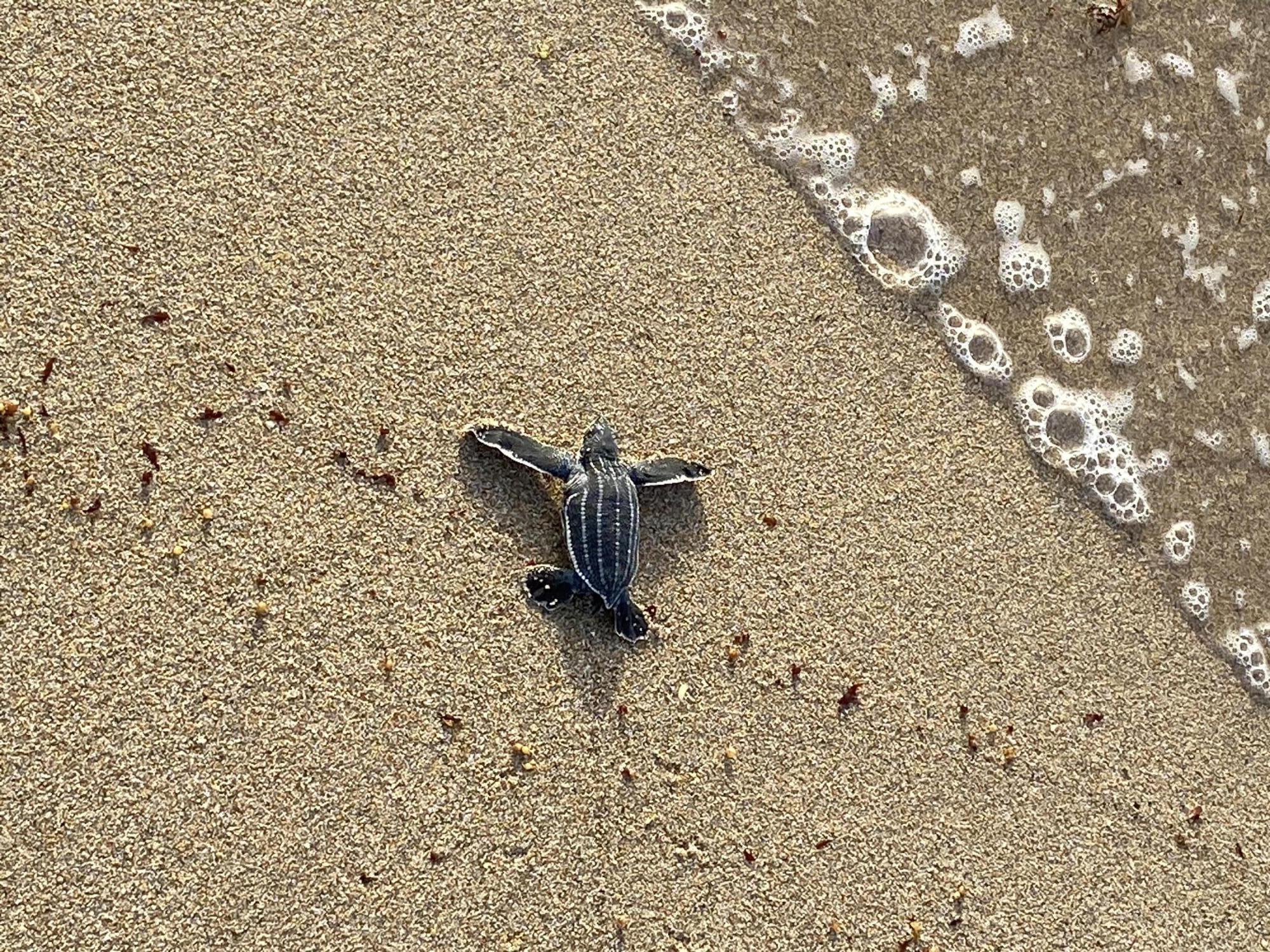 209 Java Drive, Unit J Briny Breezes, FL 33435 - Photo 11 of 11 a bathroom with a shower
