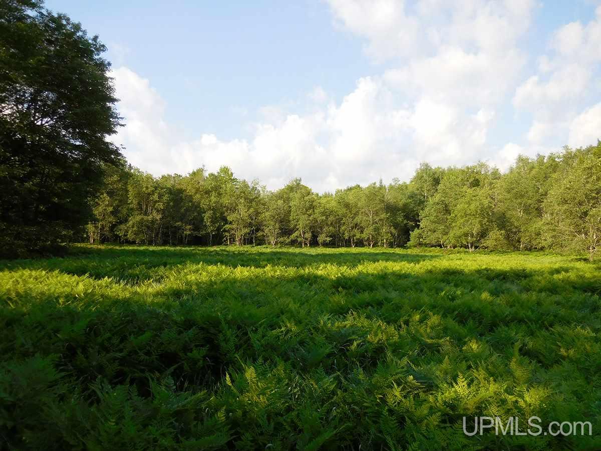 Tbd Tee Lake Road Germfask, MI 49836 - Photo 4 of 25