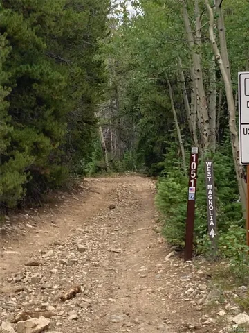 a view of a forest with trees