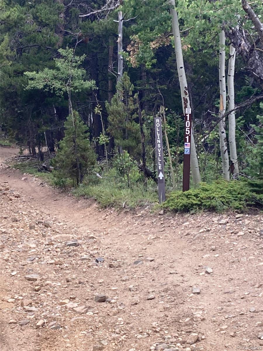 105.1 Forest Service Camp Road Rollinsville, CO 80474 - Photo 6 of 24 a backyard of a house with lots of green space