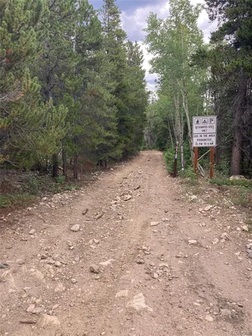 a view of a yard with trees