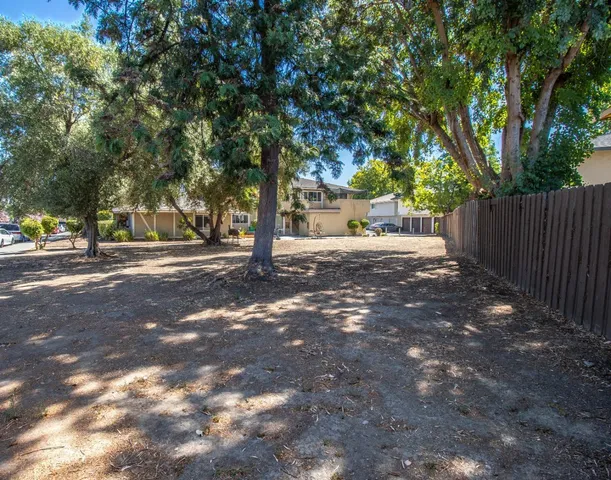 a view of a yard with plants and trees