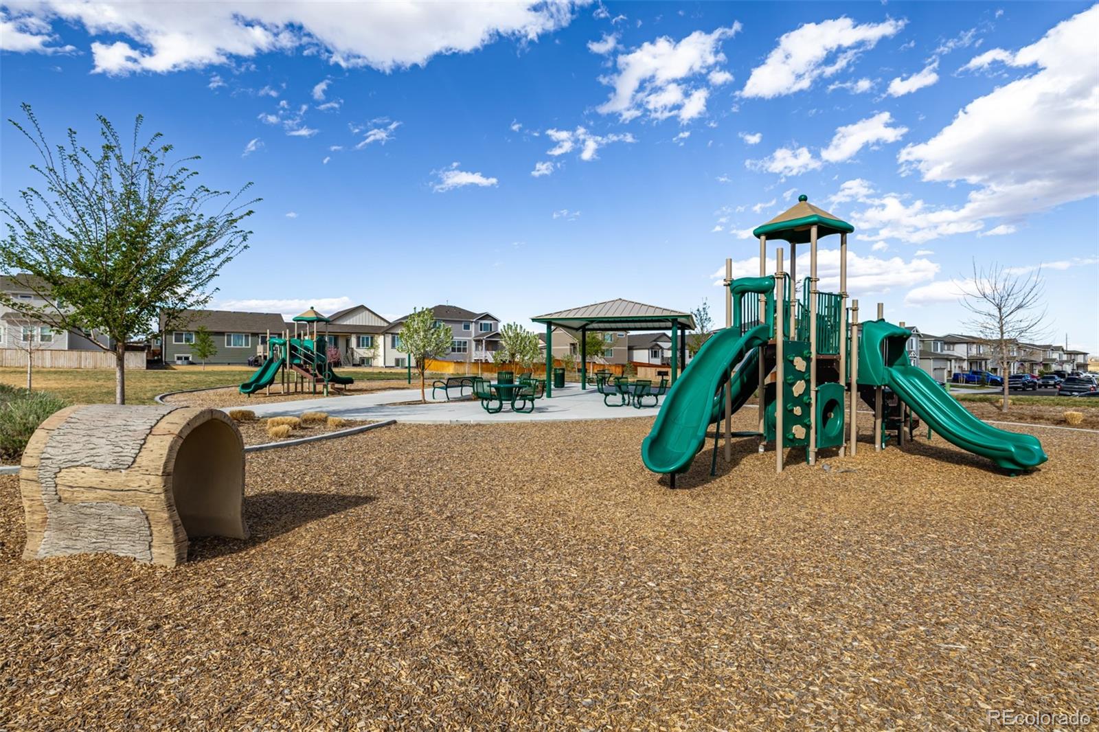 844 Frst Cyn Road Severance, CO 80550 - Photo 37 of 50