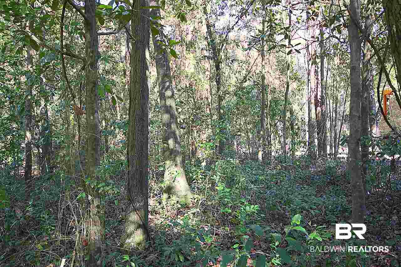 0 Landing Road Daphne, AL 36526 - Photo 3 of 5 Inside Lot View