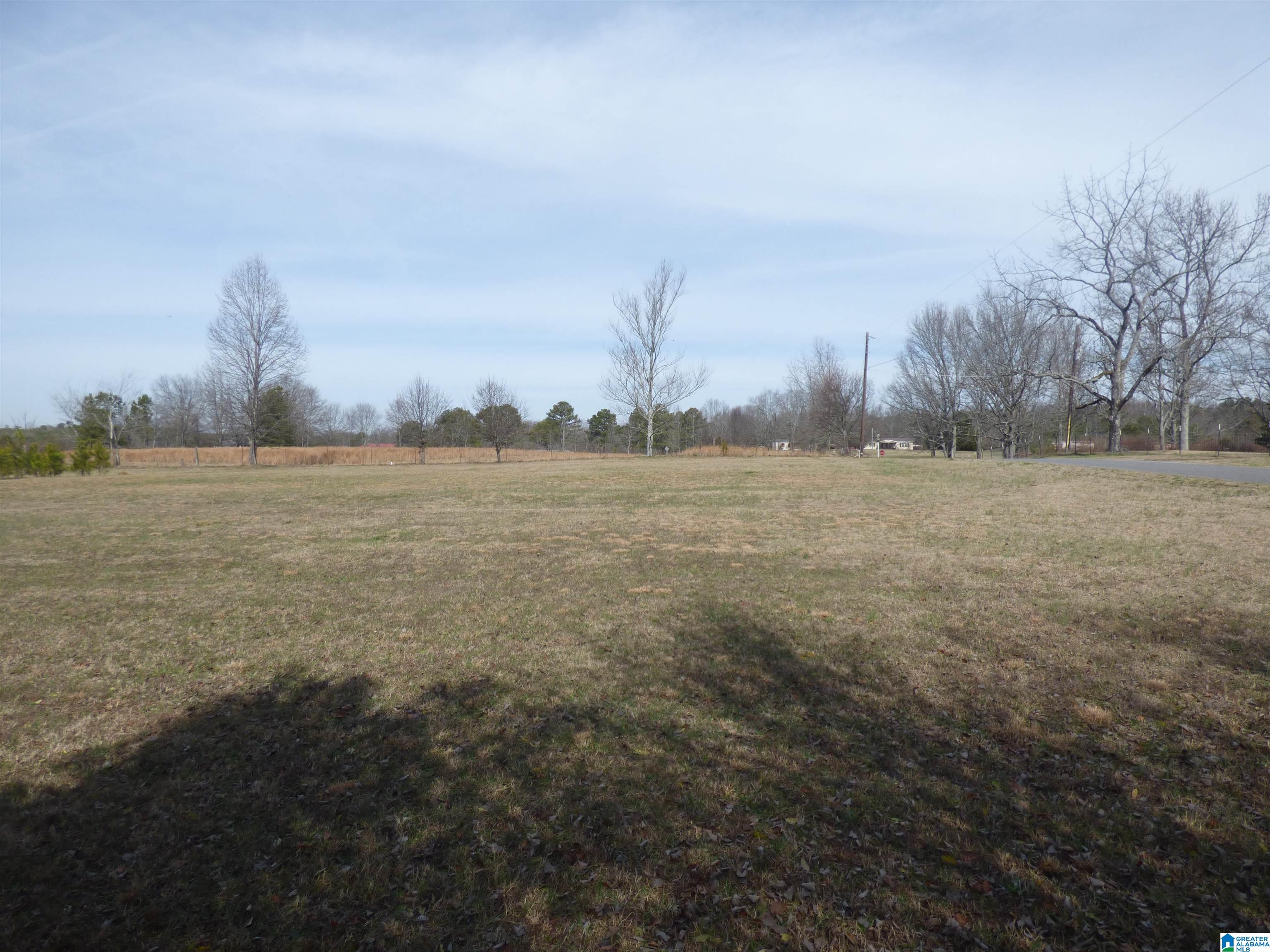 114 Haynes Road Altoona, AL 35952 - Photo 5 of 49