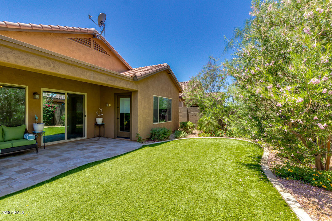 3608 East Abraham Lane Phoenix, AZ 85050 - Photo 19 of 36 17 backyard
