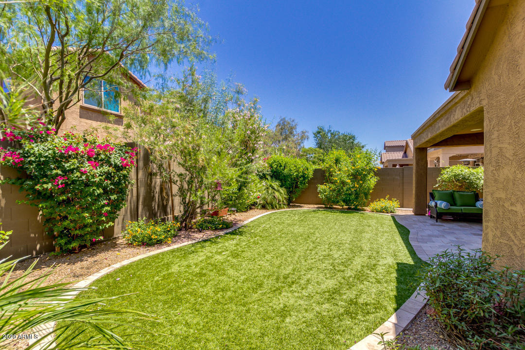3608 East Abraham Lane Phoenix, AZ 85050 - Photo 20 of 36 18 sythetic grass